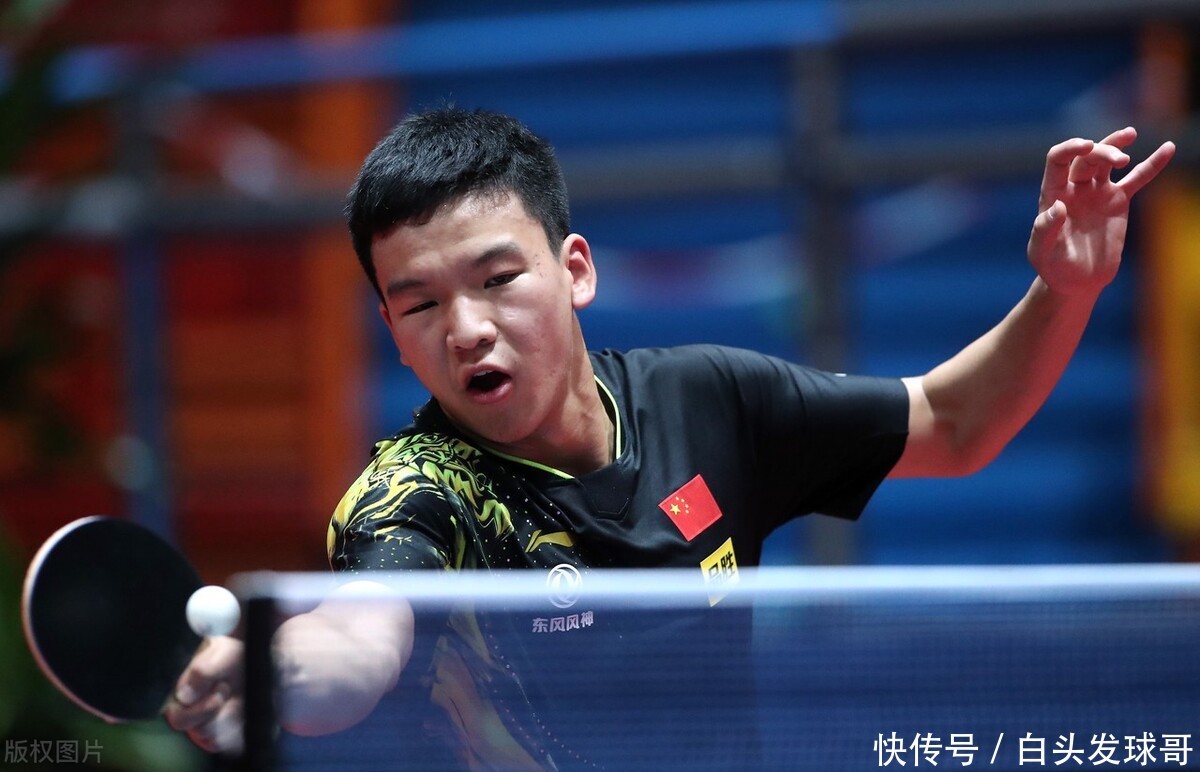 摘要条款 摘要条款